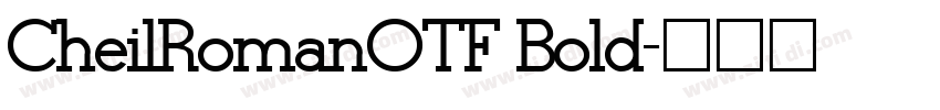 CheilRomanOTF Bold字体转换